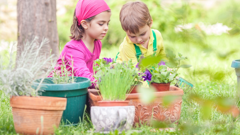Family Gardening Projects
