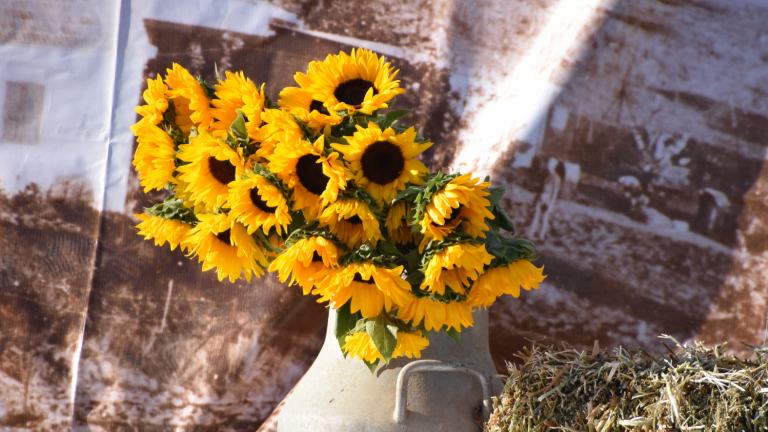 5 Tips for Easy End-of-Summer Entertaining