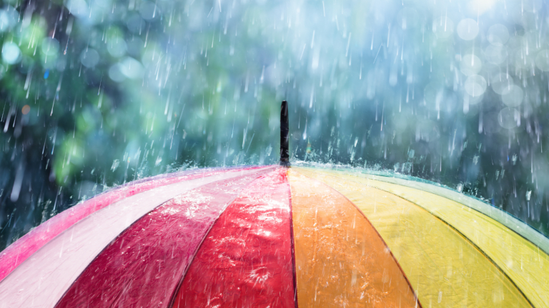 Pretty rain deals umbrellas