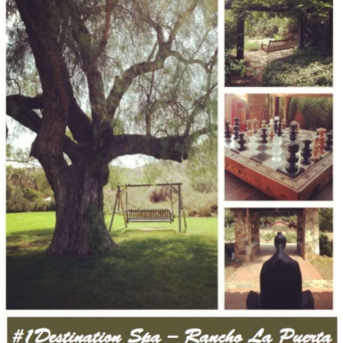 Yoga Retreats at Rancho La Puerta - Rancho La Puerta