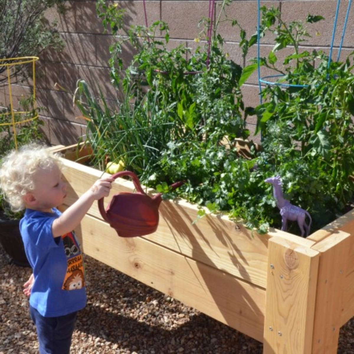 Gardening With Kids DIY Raised Garden MomTrends