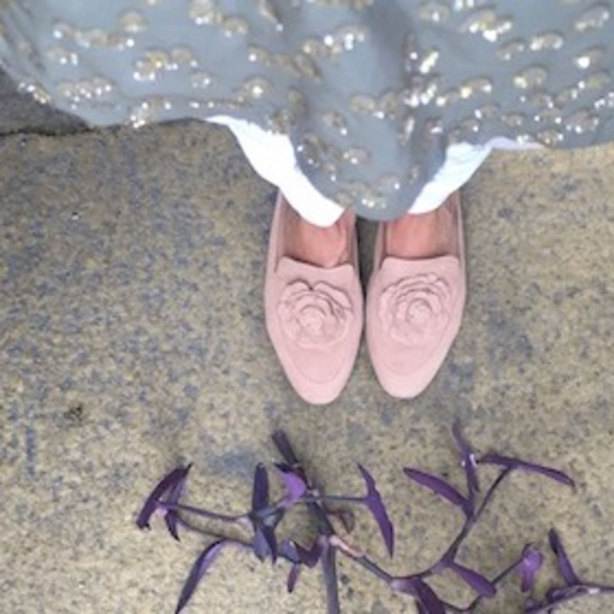 Taryn new arrivals rose danielle