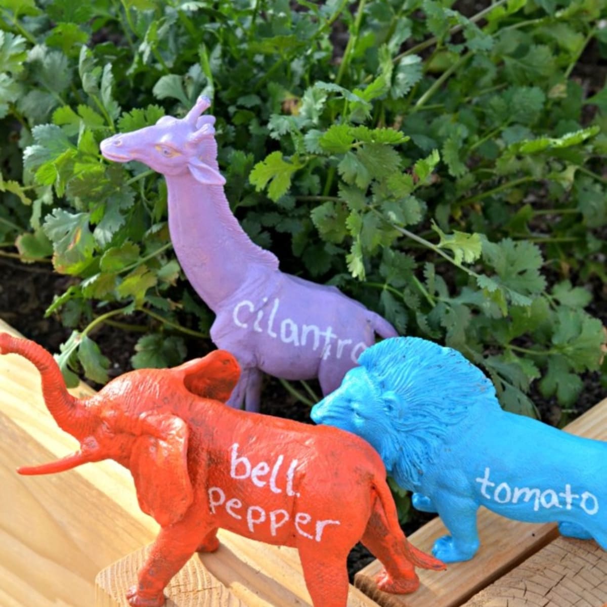 Plastic animal crafts new arrivals