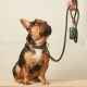 Shop Foggy Dog here ($95)