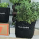Get your Gardenuity herb set here. ($76)