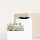 Order your Lula's Garden Gifts here ($28). 