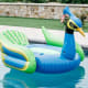 Peacock Pool Float ($98) Amazon