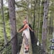 Tree Top Adventure