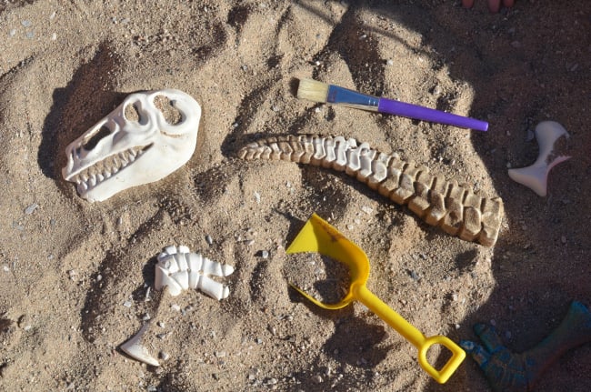 sea creatures from the dinosaur age