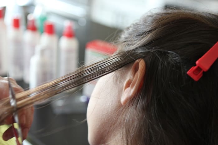 lice check momtrends hair camp care
