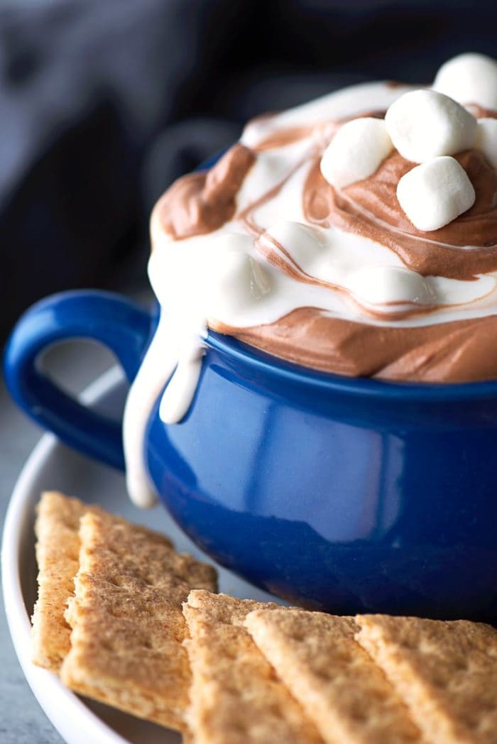 Gimme S'more Recipes to Celebrate National Smores Day - MomTrends