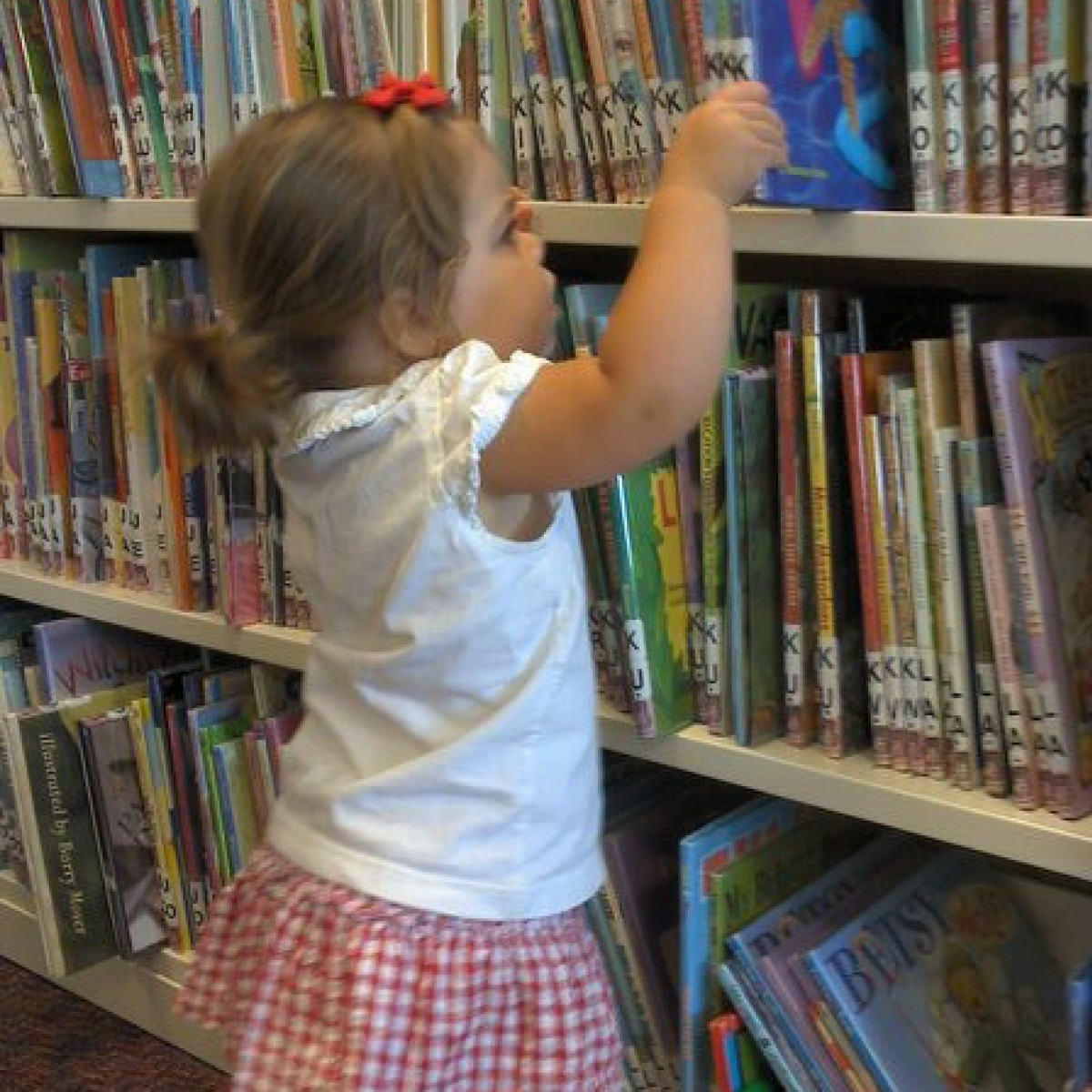 go to my library. go to my library.