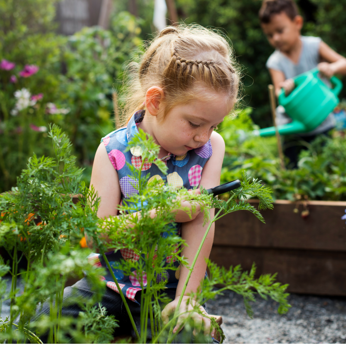 gardening tips, tips for gardening, kids garden, bushel and berry, bloomers island, kids garden
