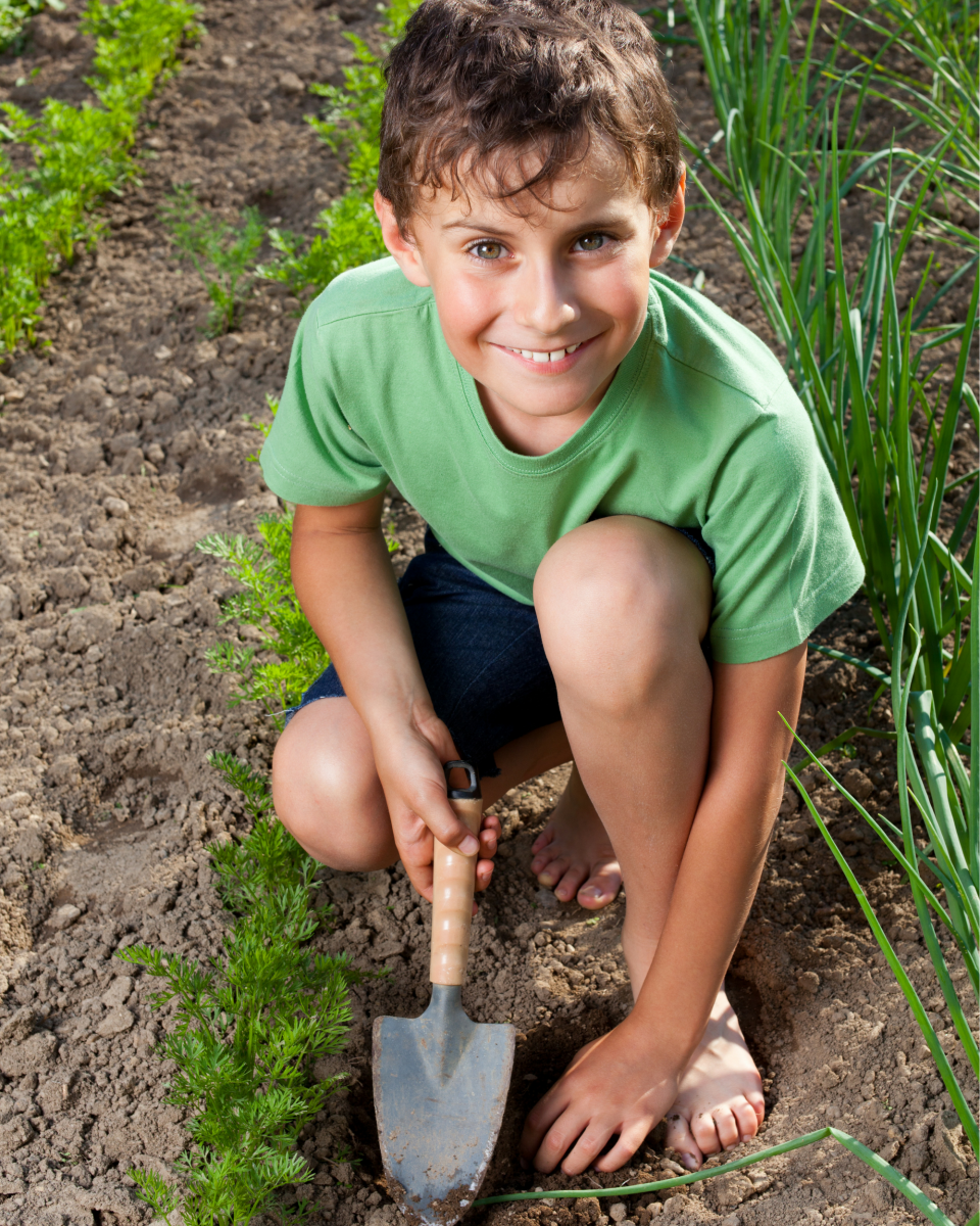 gardening tips, tips for gardening, kids garden, bushel and berry, bloomers island, kids garden