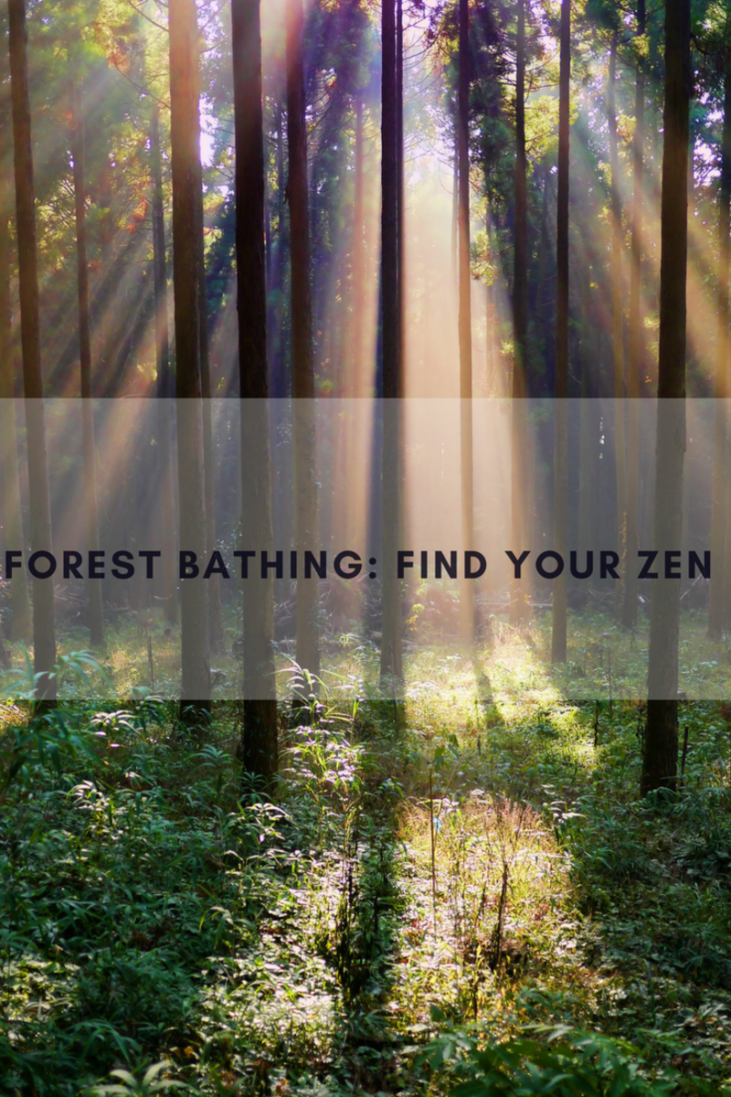 forest bathing trend, trend for wellness, wellness trend, mindfulness trend, nature, japanese forest bathing, shinrin-yoku, forest bathing therapy