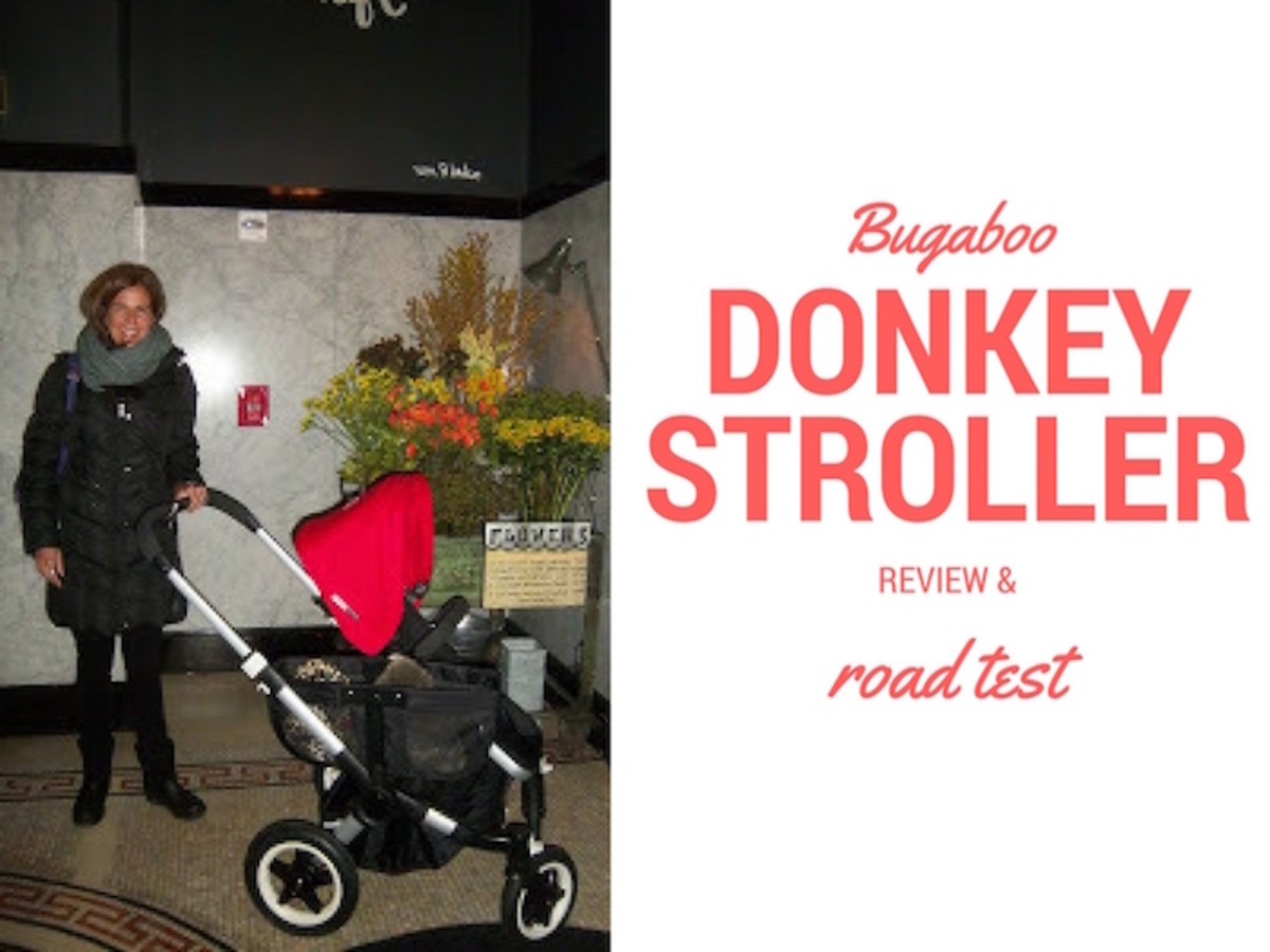 bugaboo donkey review