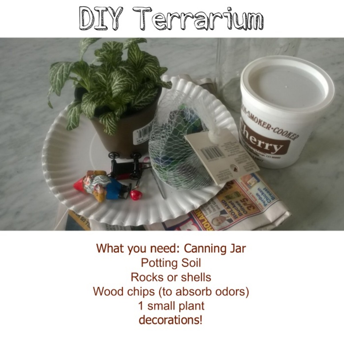 DIY terrarium craft