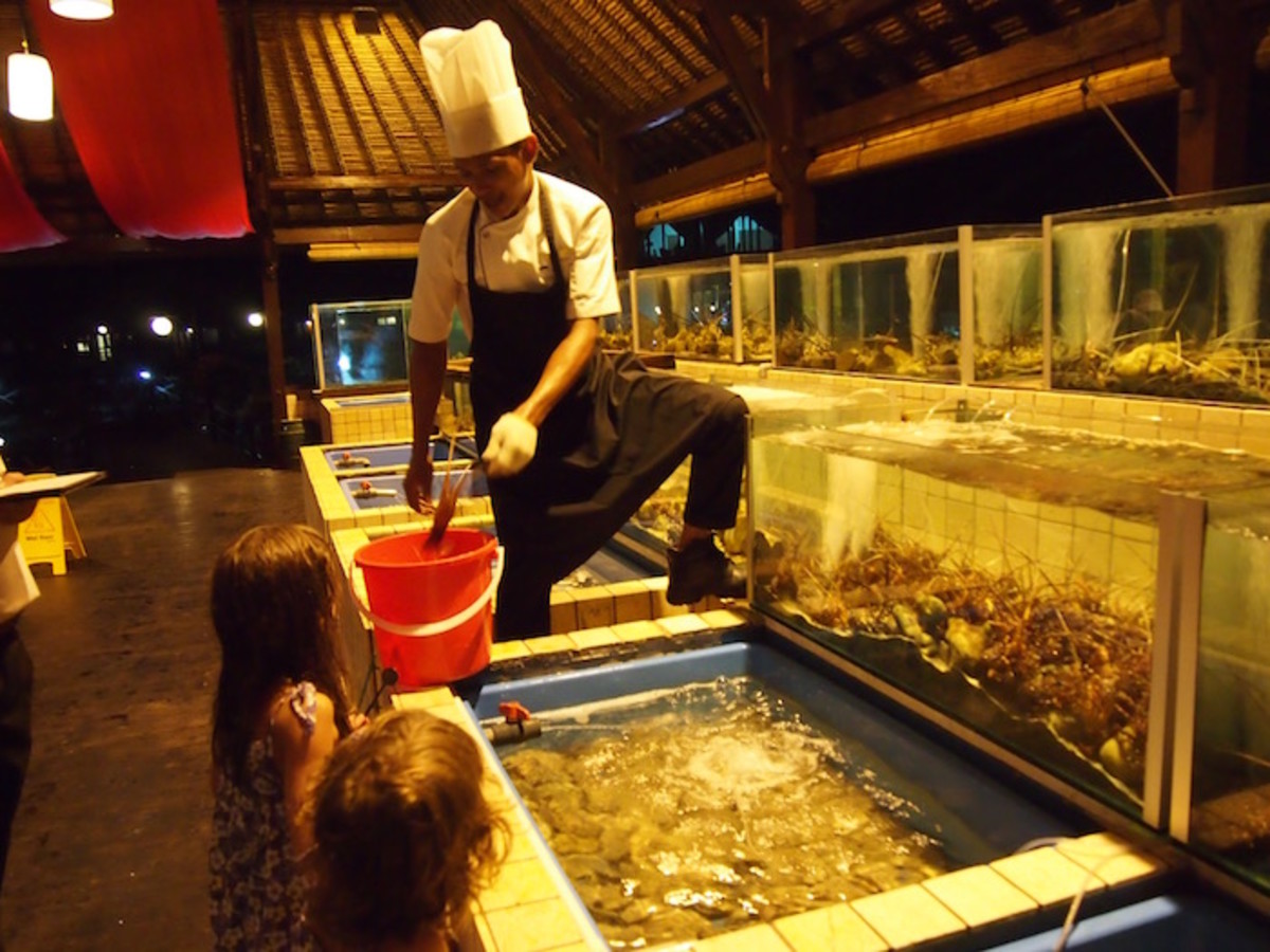 fish in malaysia