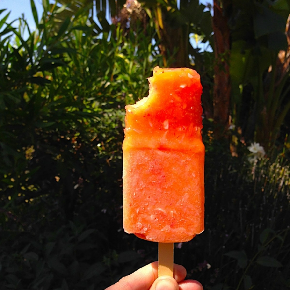 Wine-soaked popsicle
