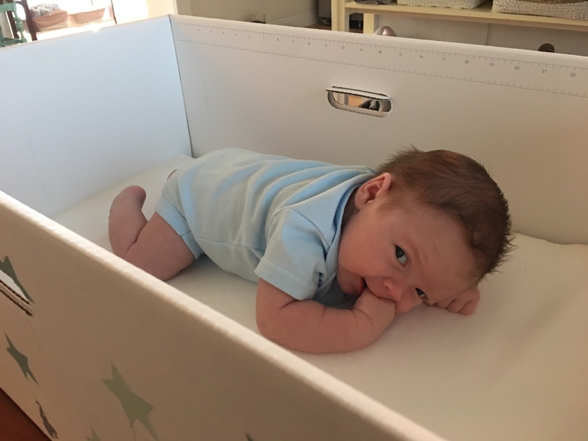 Finnbin baby box