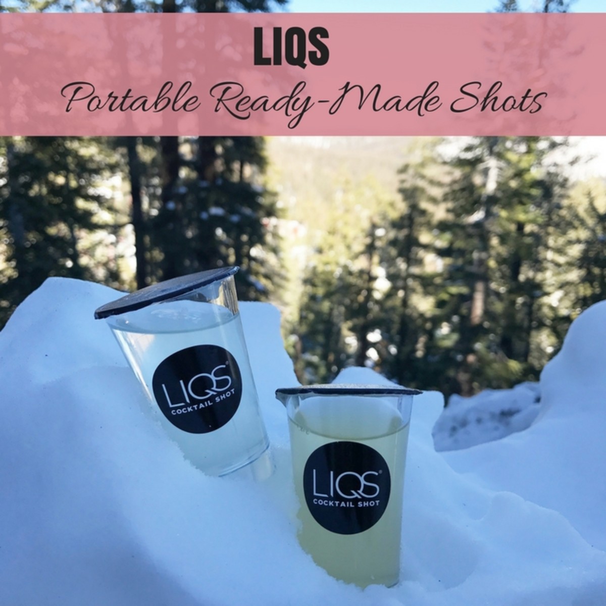 Liqs portable shots