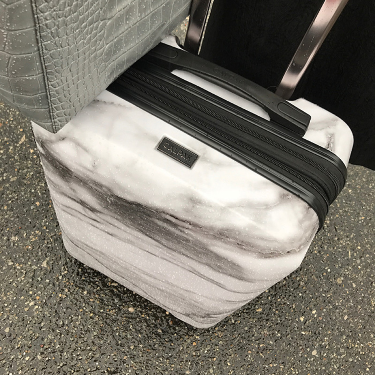 calpak luggage