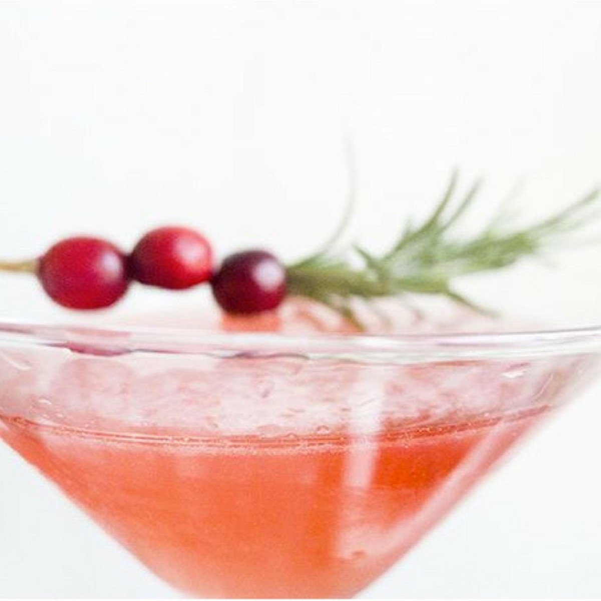 cranberry martini holiday cocktail