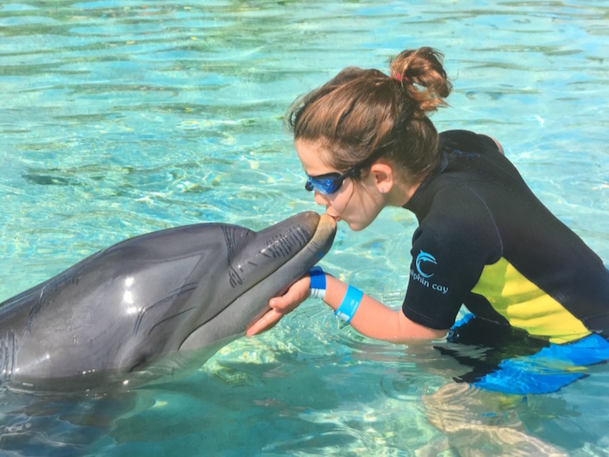 kissing dolphins atlantis