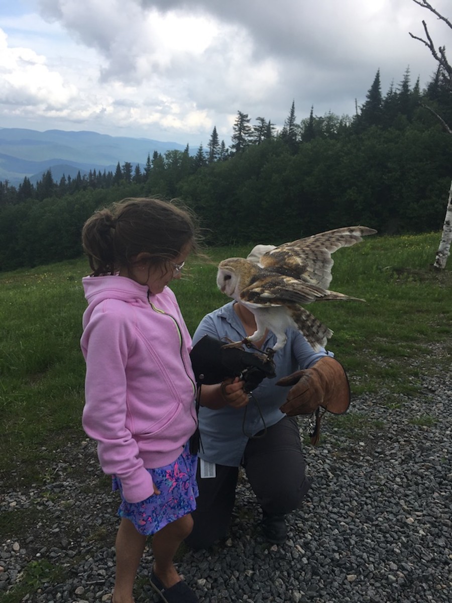 holding an owl at Mont Tremblant
