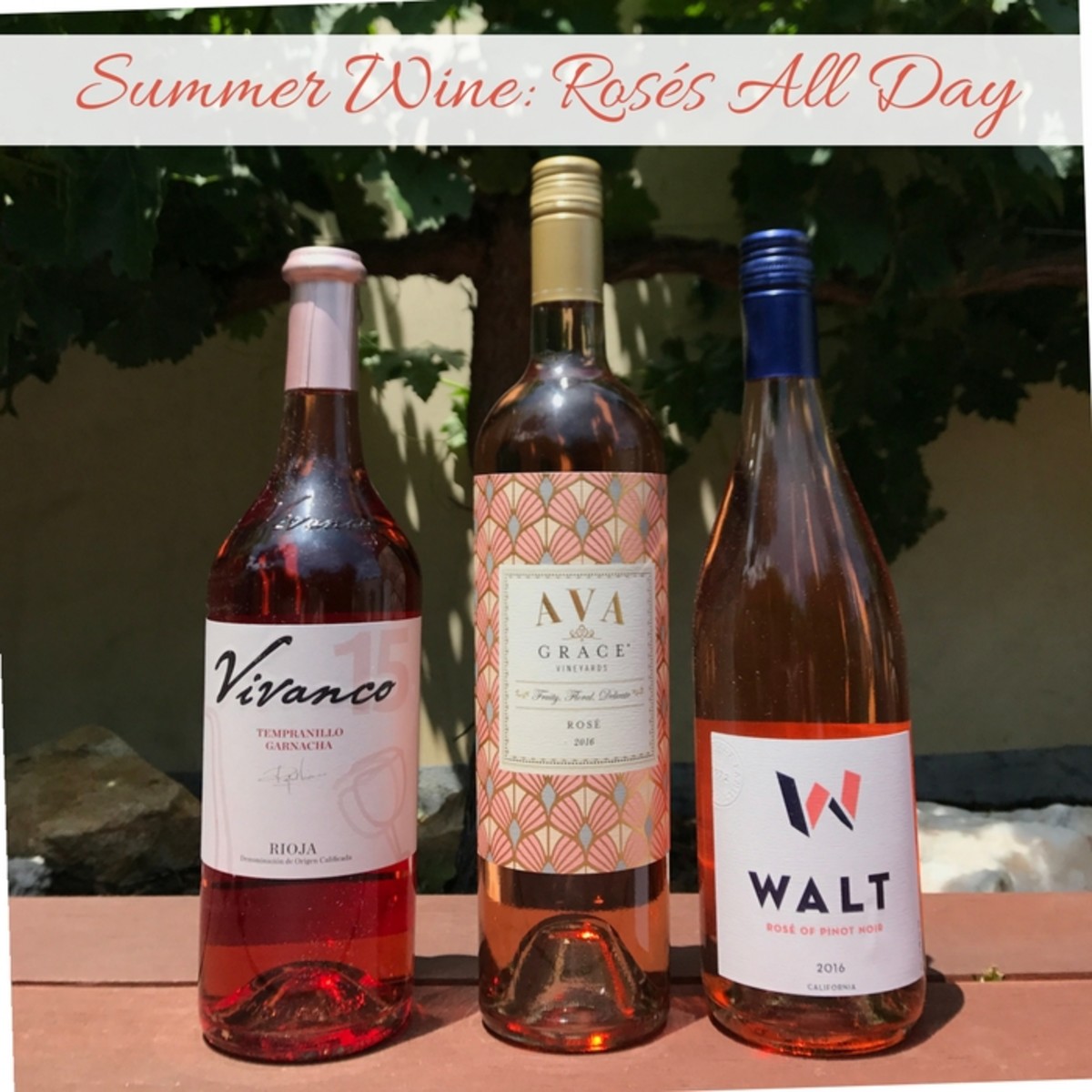 Summer Rosé Wines