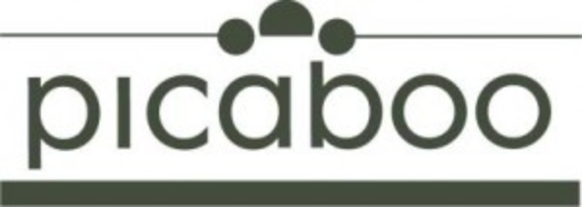 picaboo_logo-300x107