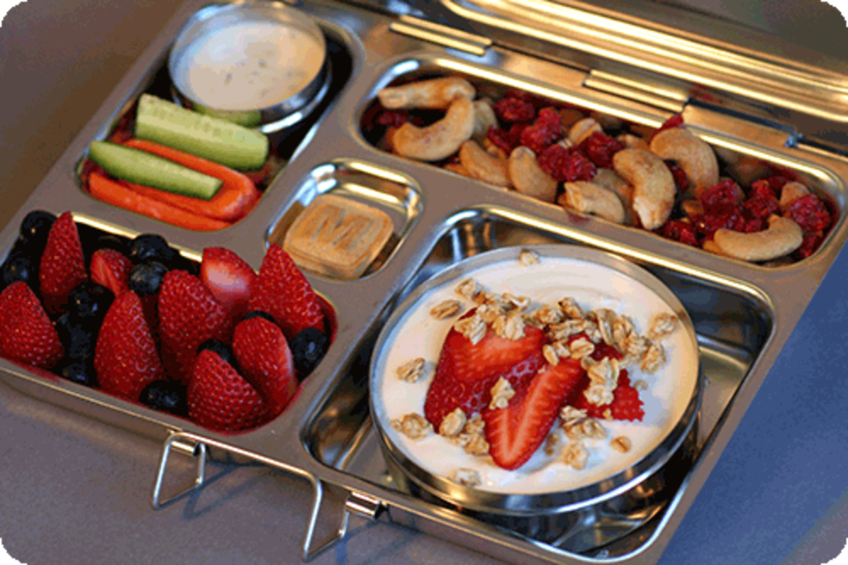 PlanetBox! Lunch Transportation for the Green Generation - MomTrends
