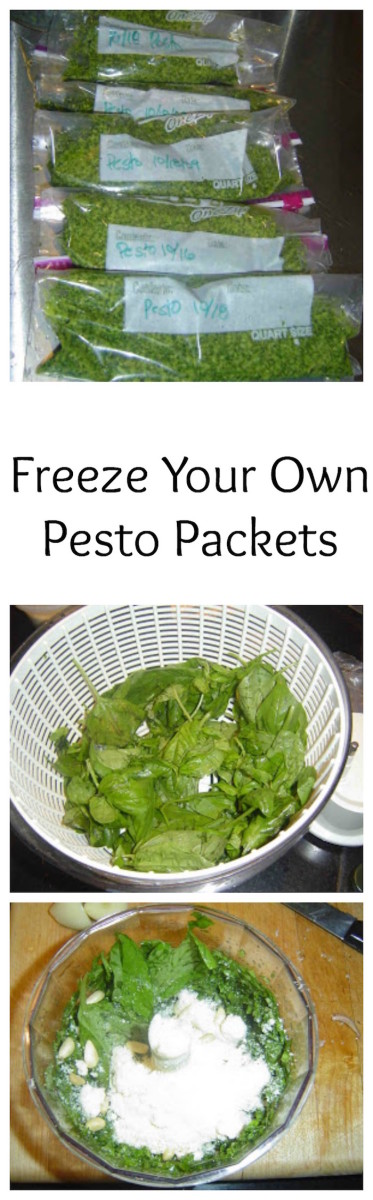 freezer pesto packets