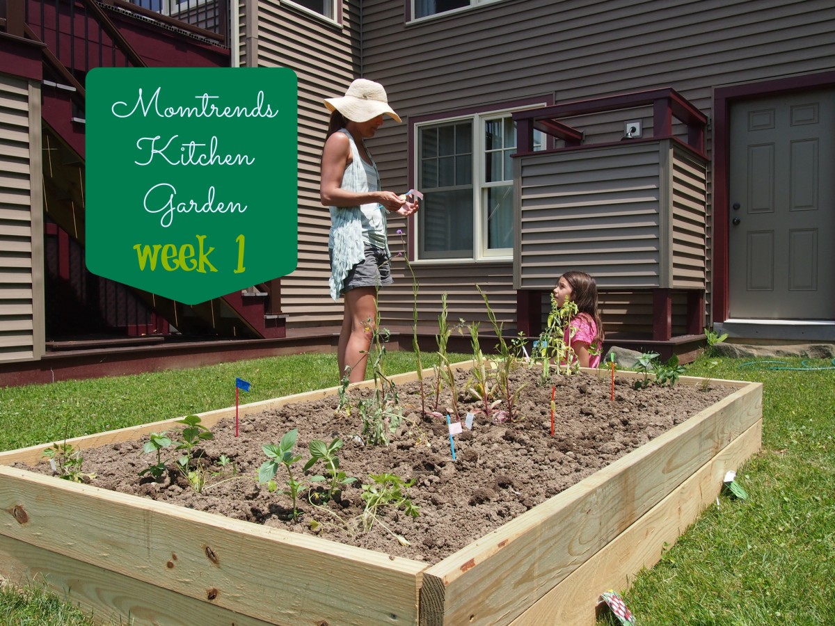 kitchen garden, healthy eating, gardening with kids