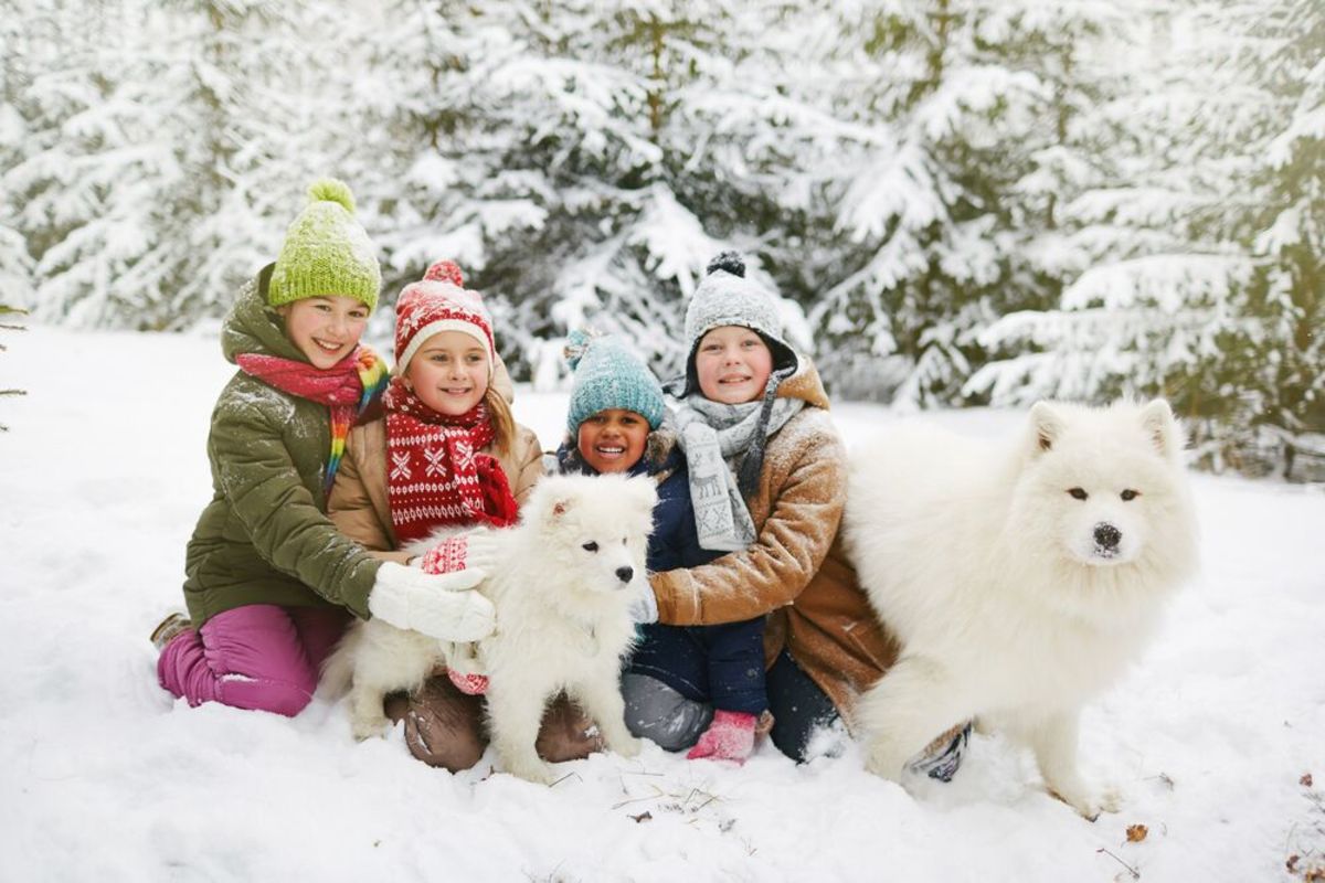 Seven ideas to get your family outdoors this winter even on cold days.
