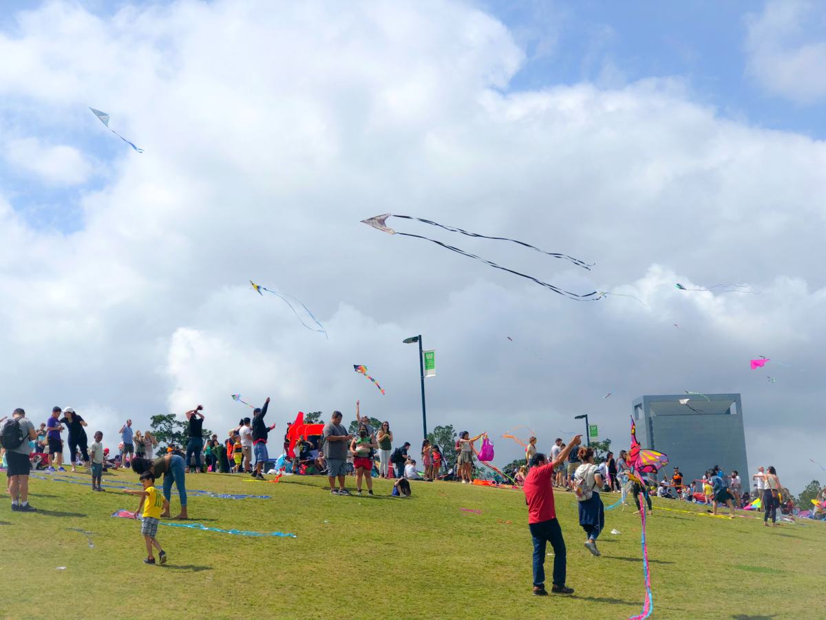 houston kite festival