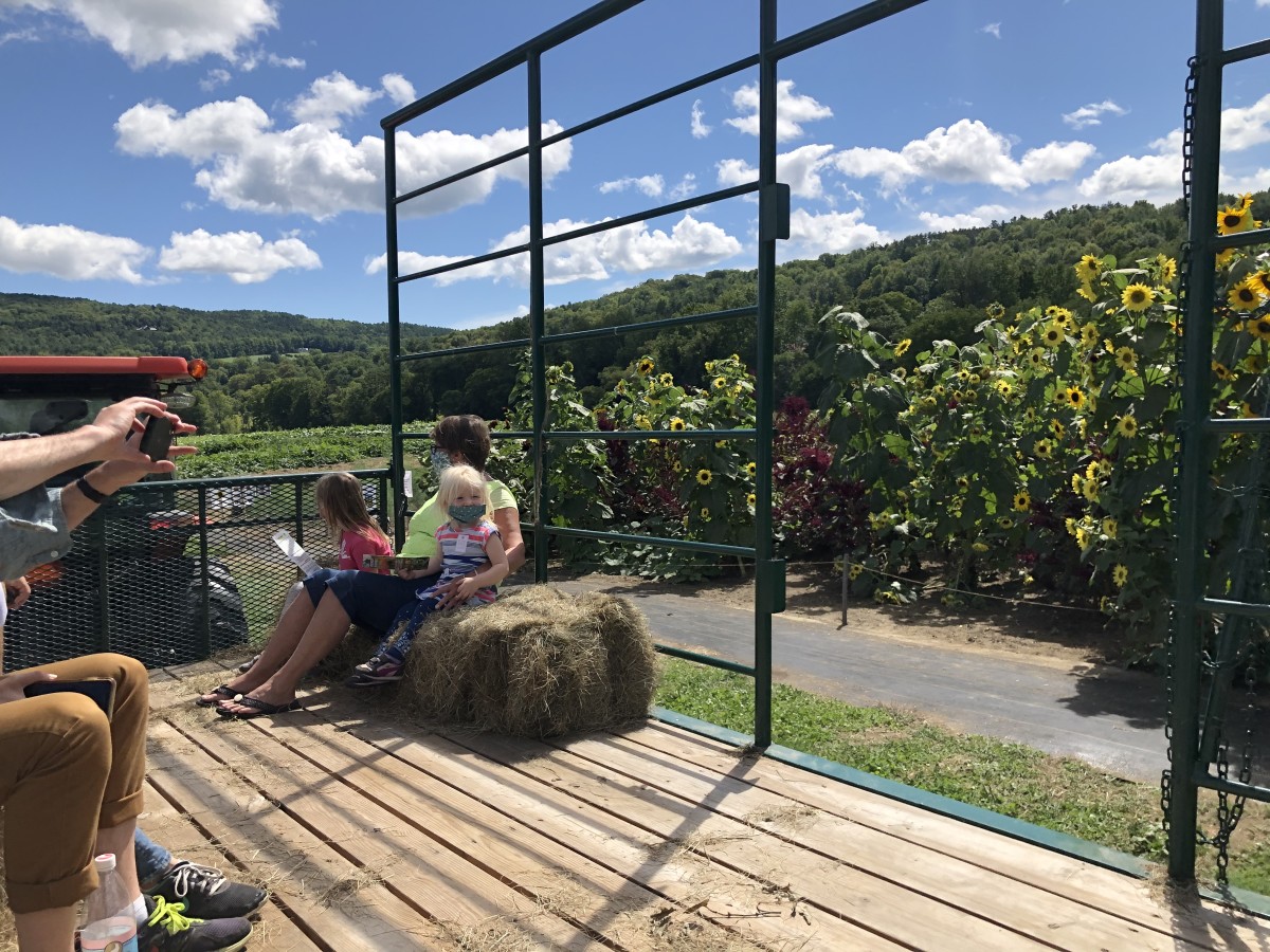 Family Fun at Billings Farm in Vermont