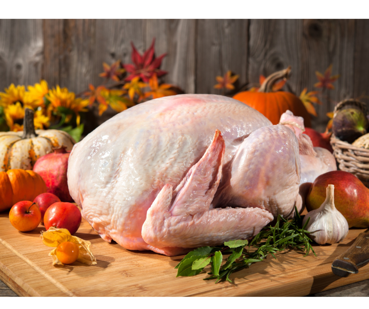 Best plate to cook for thanksgiving