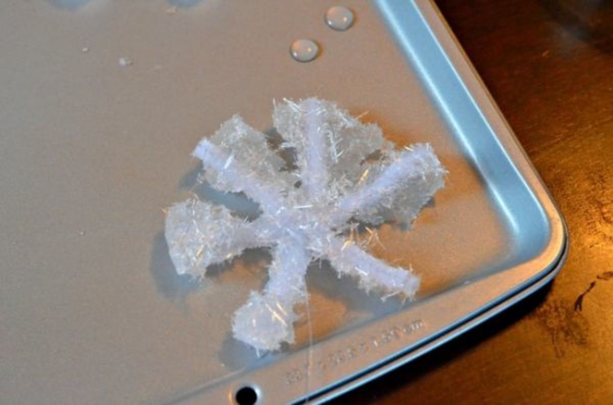 Science for Kids: Grow Crystal Snowflakes