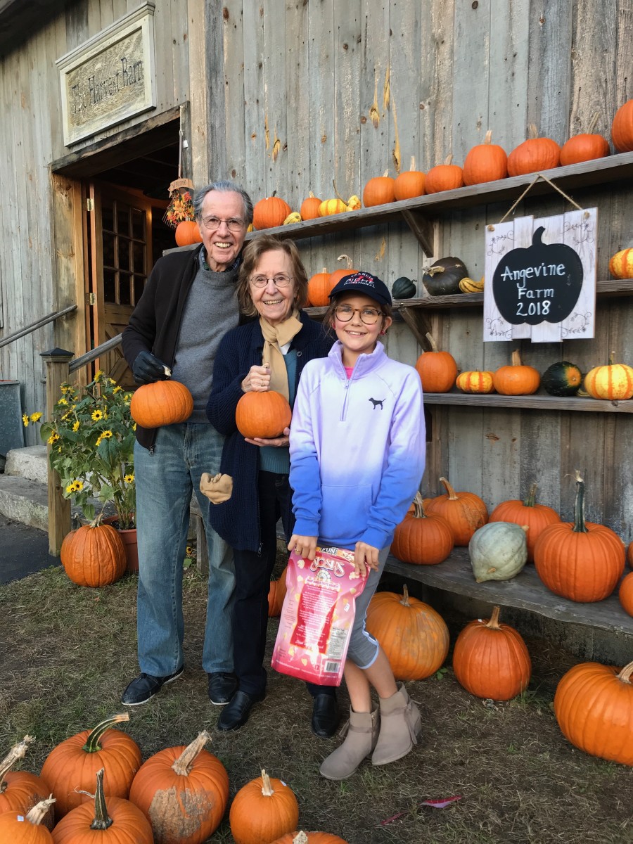 5 Tips for the Perfect Pumpkin Patch Visit