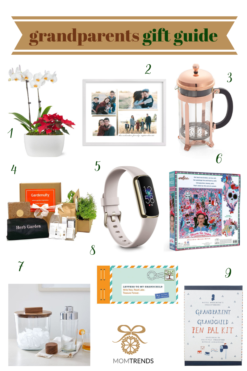 Best Holiday Gifts for Grandparents