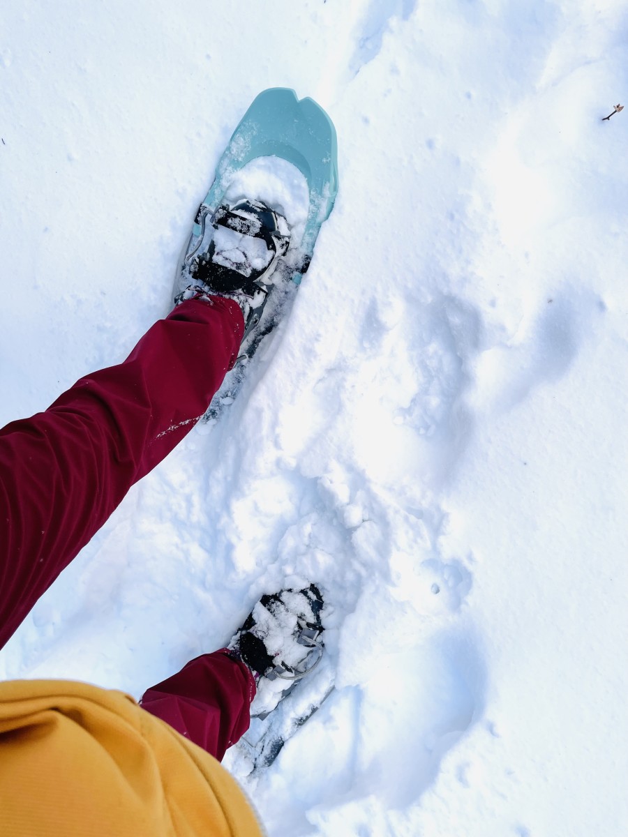 The Beginners Guide to Snowshoeing