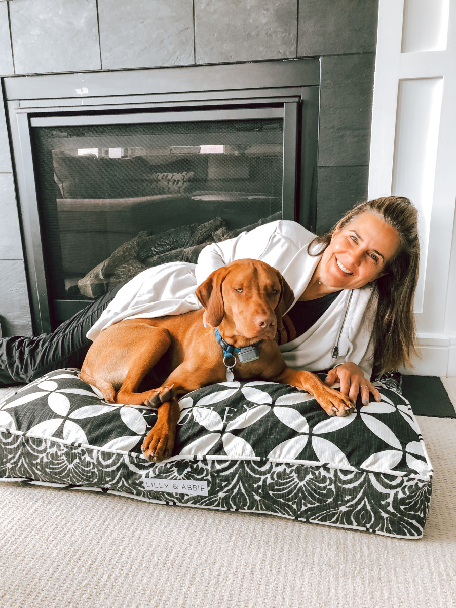 Finding a Stylish Dog Bed For Your Home