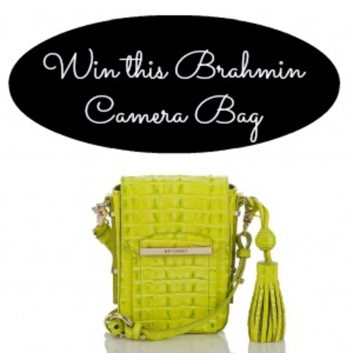 brahmin camera bag